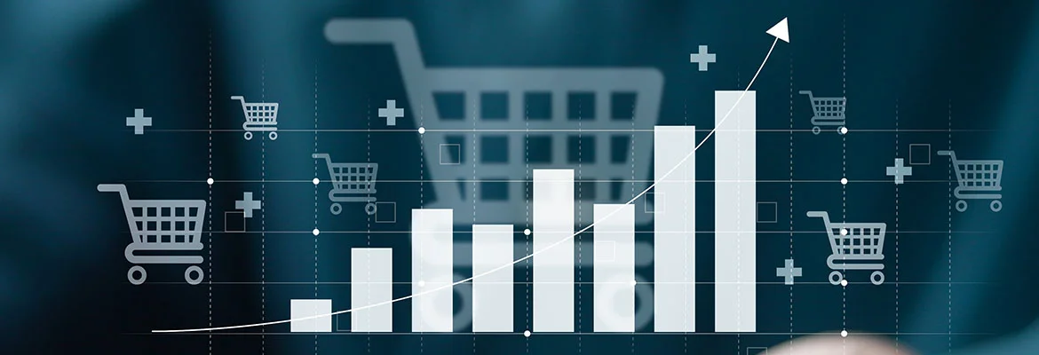Profesyonel E-Ticaret Sitesi